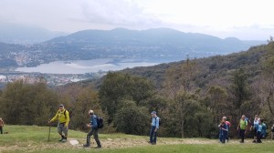 F. Michieli - In cammino leggendo la natura      